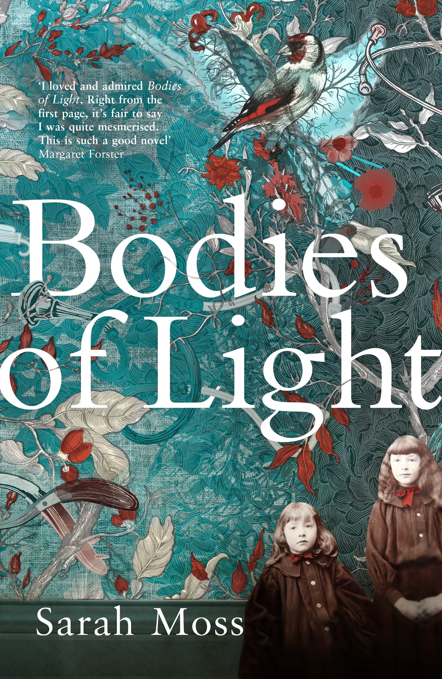 Bodies of Light Contemporary literature Books