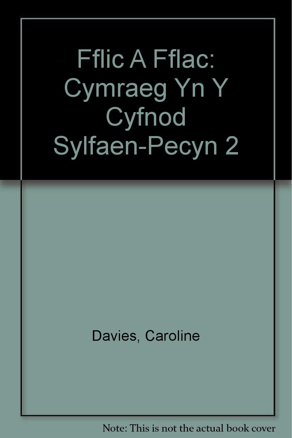 Fflic A Fflac: Cymraeg Yn Y Cyfnod Sylfaen-Pecyn 2 Foreign Languages ​​& Dictionaries