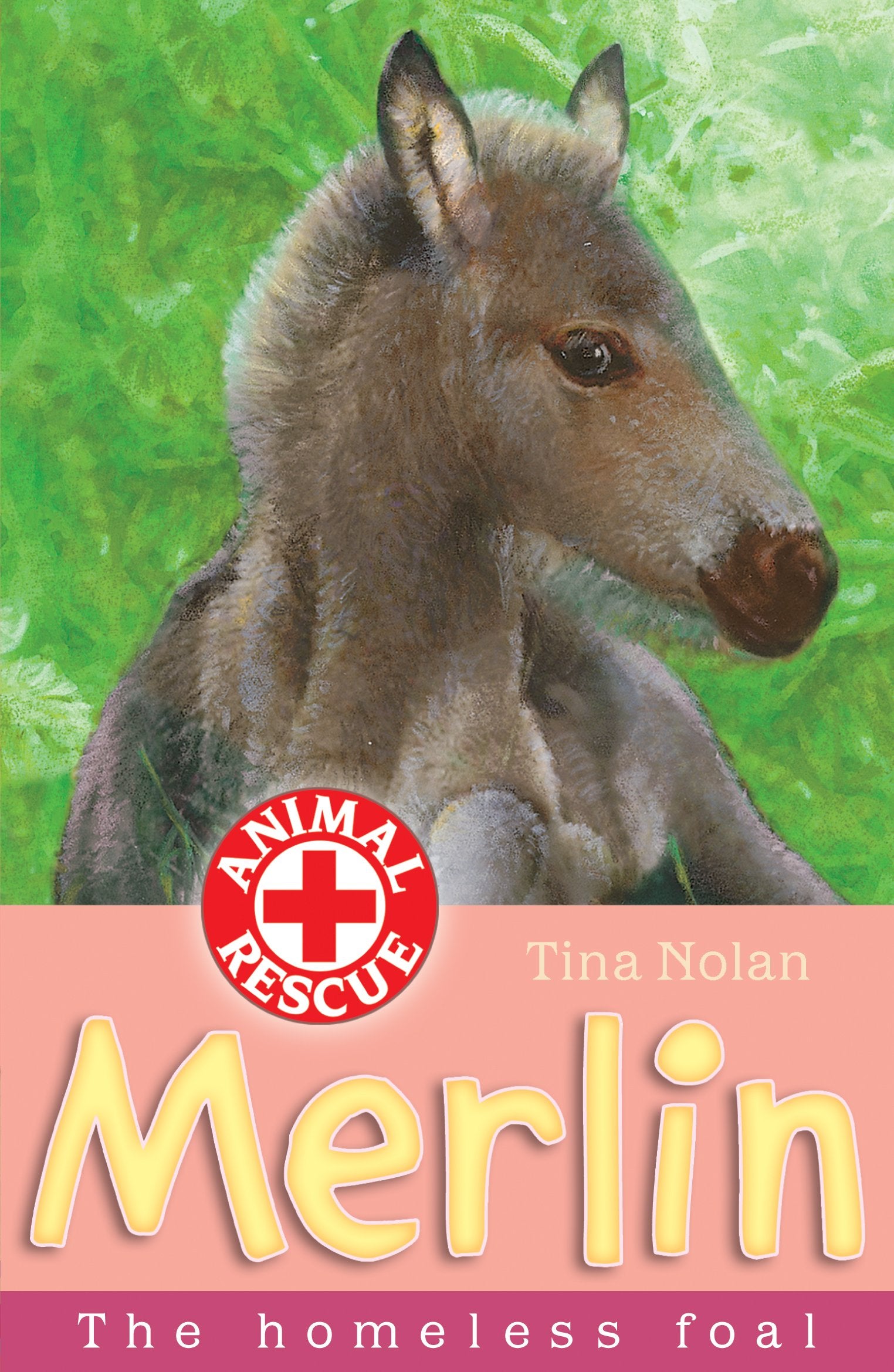 Merlin: The Homeless Foal (Animal Rescue) Novels & Short Stories