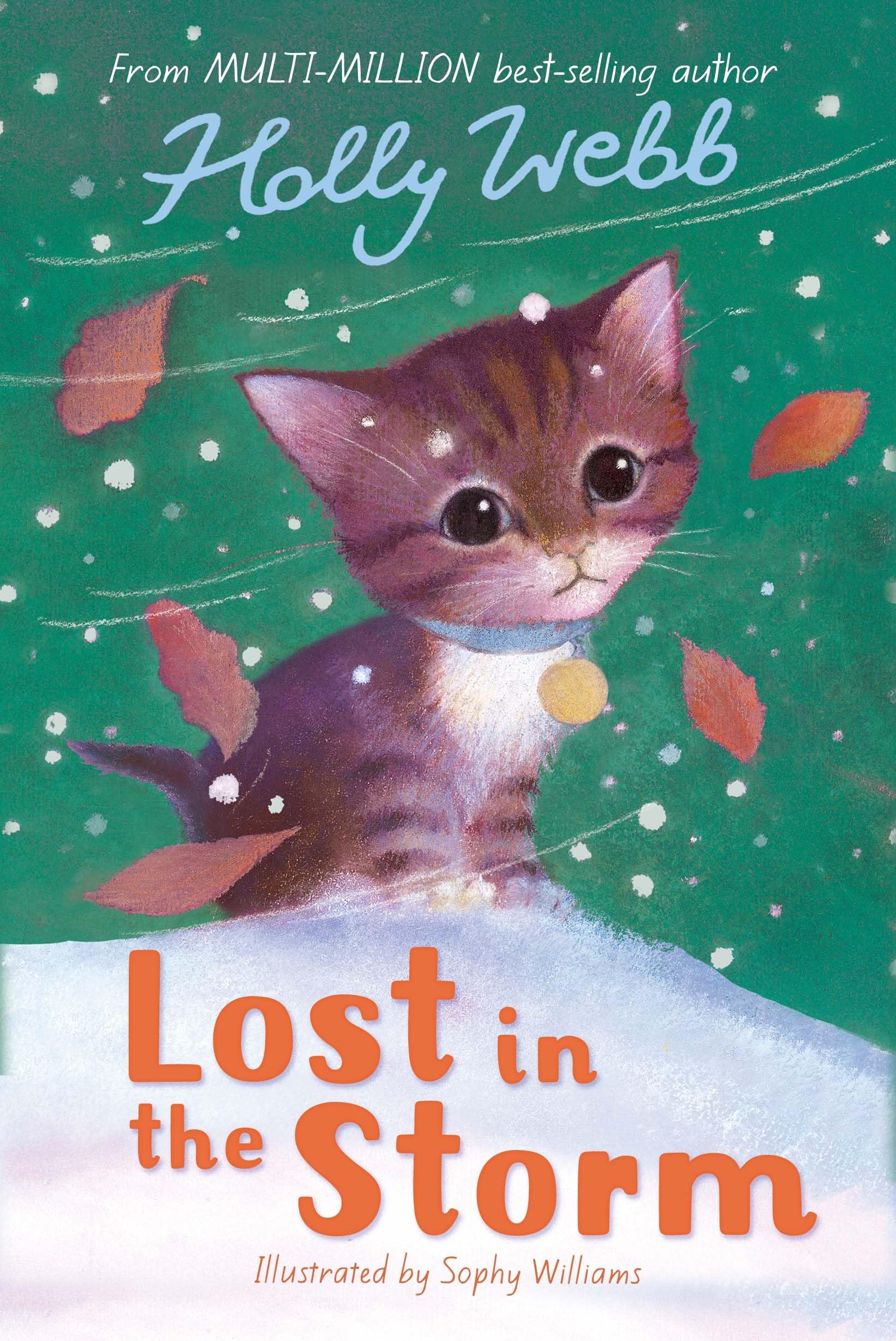 Lost in the Storm (Holly Webb: Animal Stories, Band 3) Novels & Short Stories