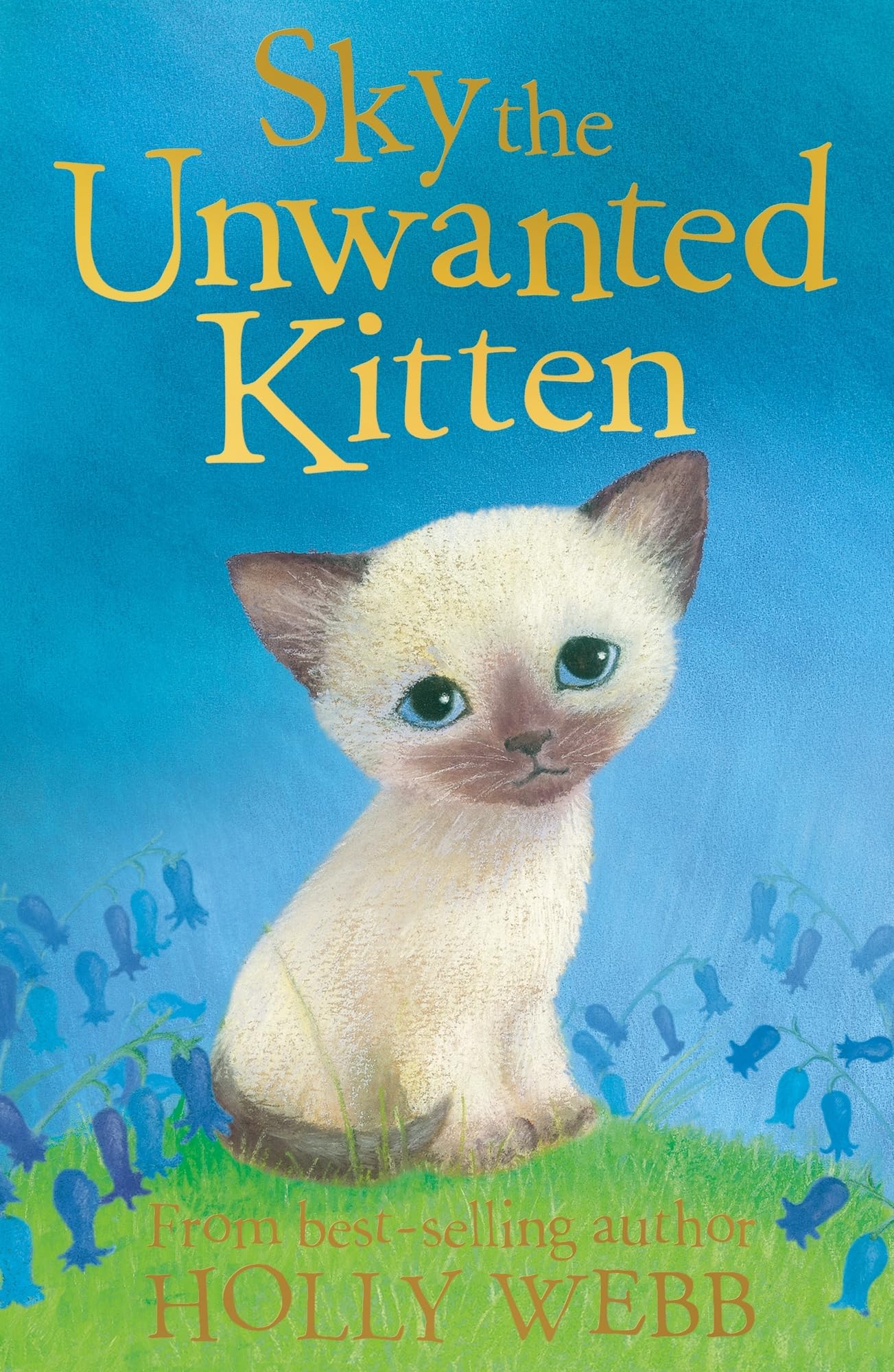 Sky the Unwanted Kitten Novels & Short Stories for children