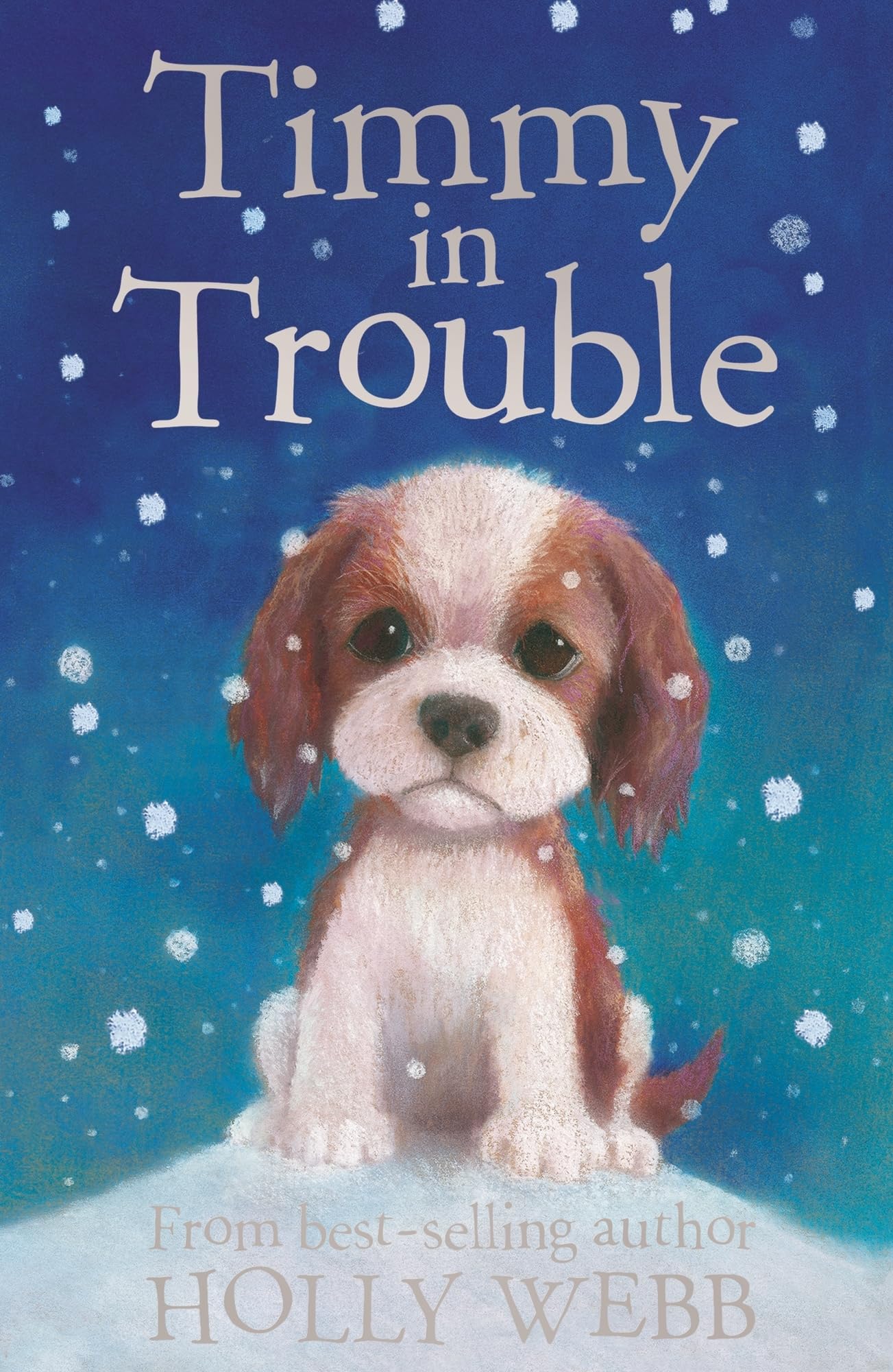 Timmy in Trouble: 7 (Holly Webb Animal Stories (7)) Novels & Short Stories
