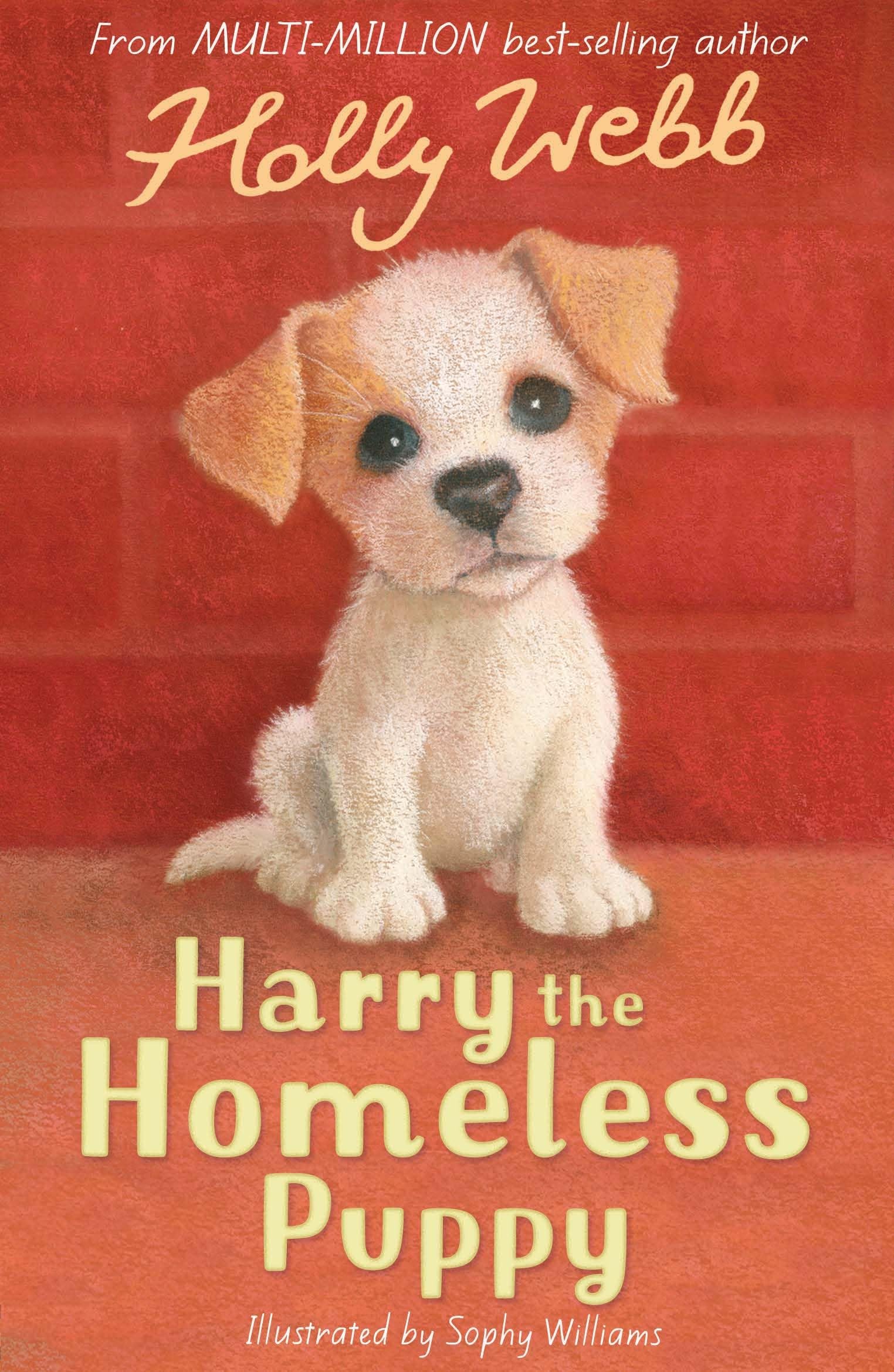 Harry the Homeless Puppy: 9 (Holly Webb Animal Stories, 9) Novels & Short Stories