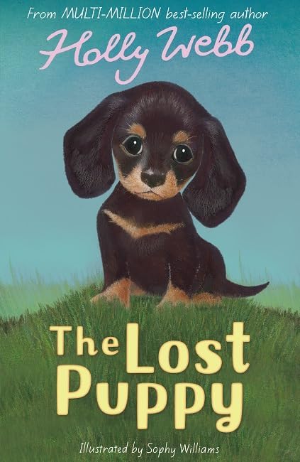 The Lost Puppy: 20 (Holly Webb Animal Stories, 20) Novels & Short Stories