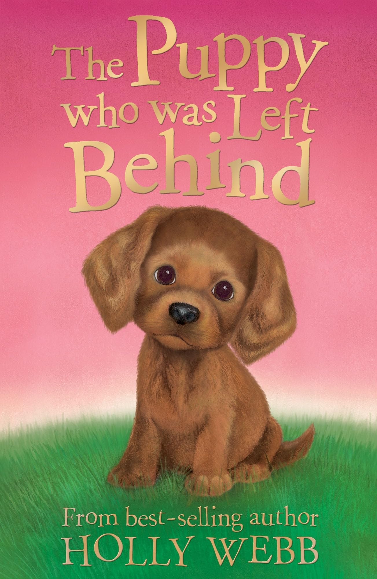 The Puppy who was Left Behind (Holly Webb: Animal Stories) Novels & Short Stories