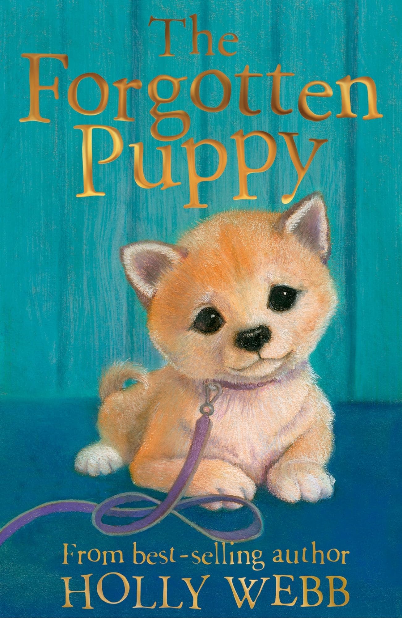 The Forgotten Puppy: 29 (Holly Webb Animal Stories (29)) Parents & Children