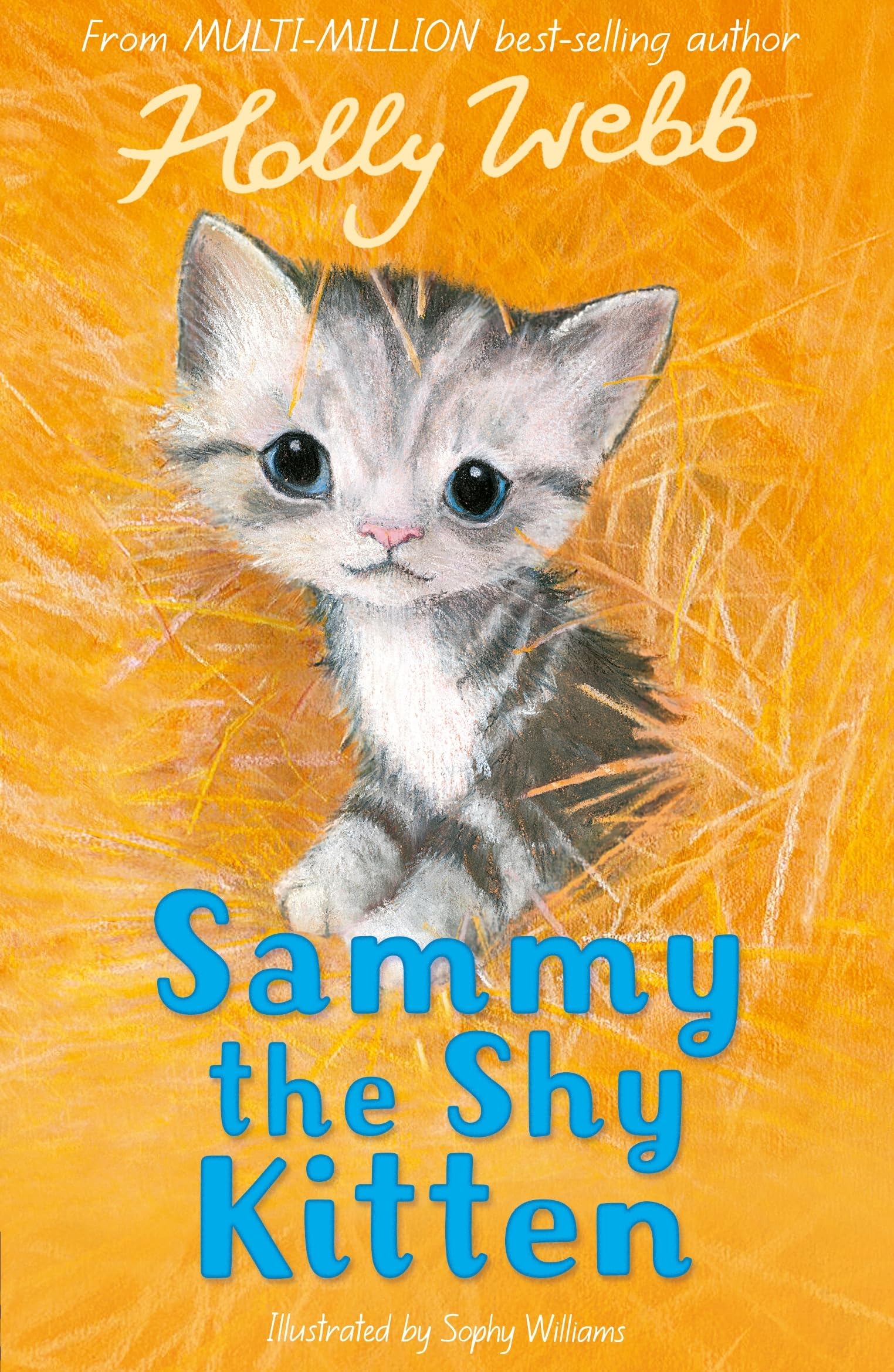 Sammy the Shy Kitten Novels & Short Stories for children