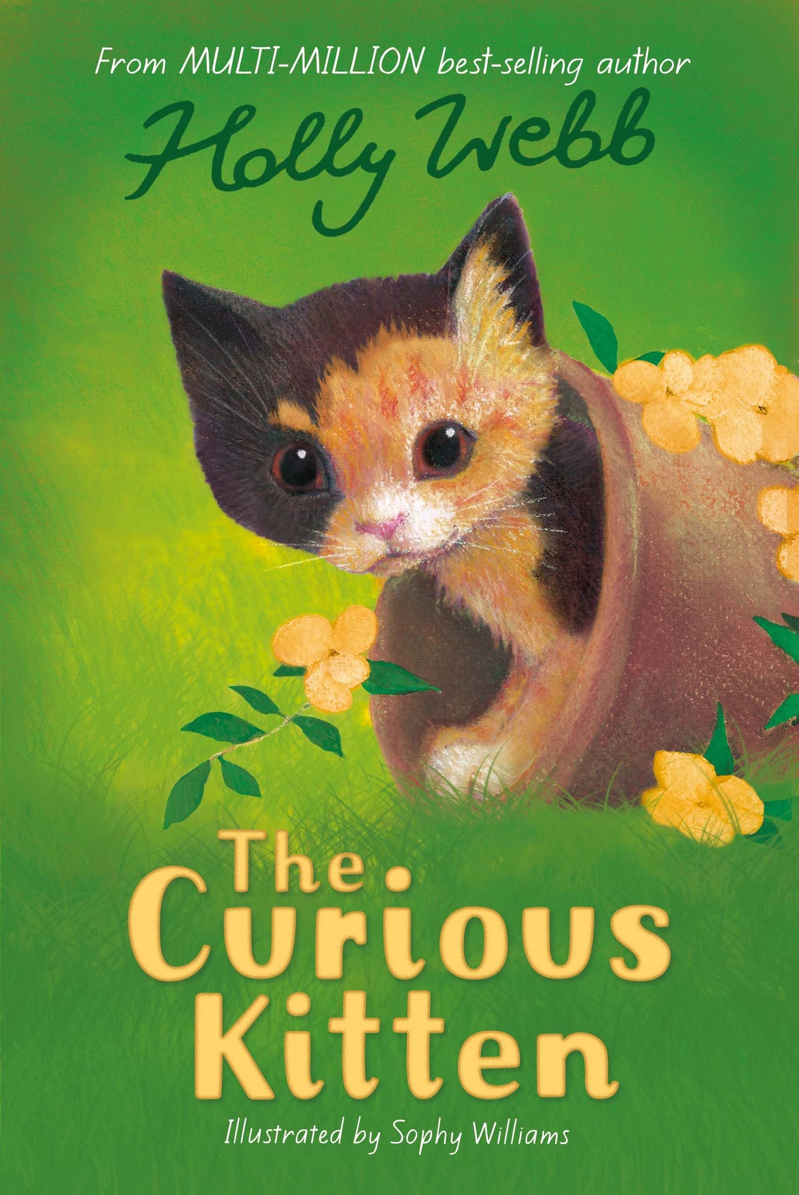 The Curious Kitten Parents & Children