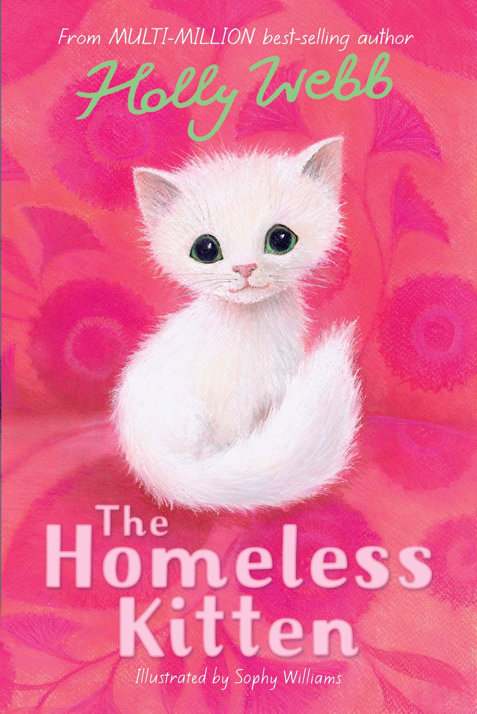 The Homeless Kitten: 36 (Holly Webb Animal Stories, 36) Novels & Short Stories