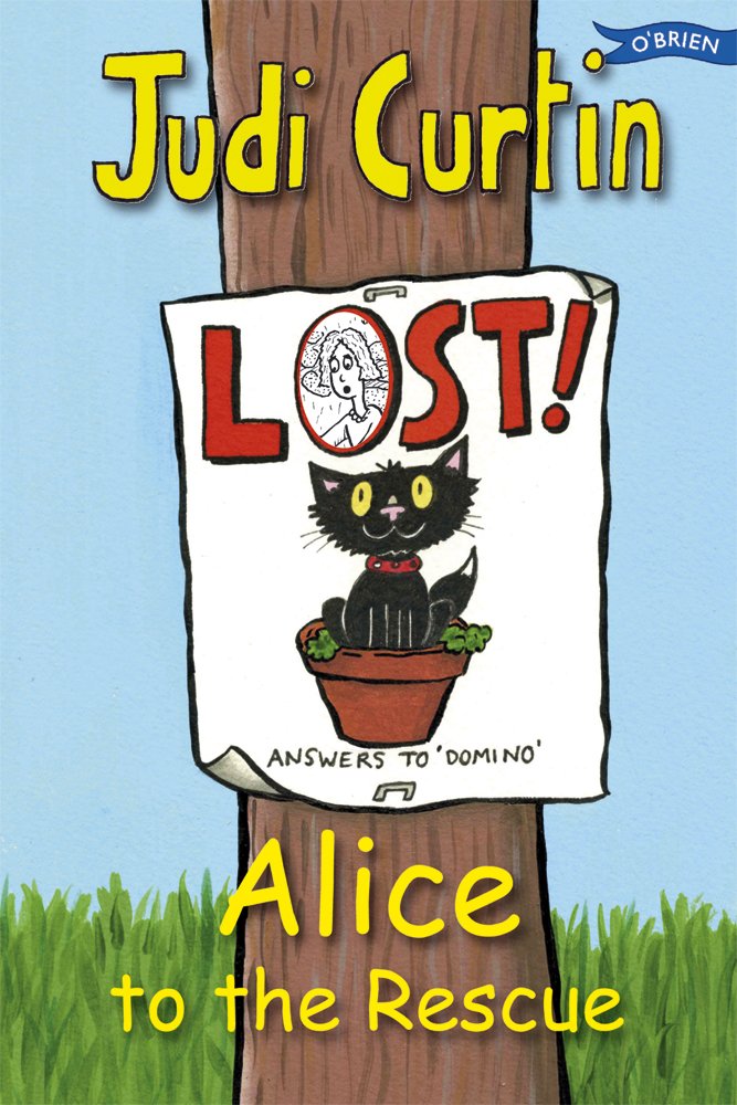 Alice to the Rescue (Alice & Megan, Band 7) Novels & Short Stories