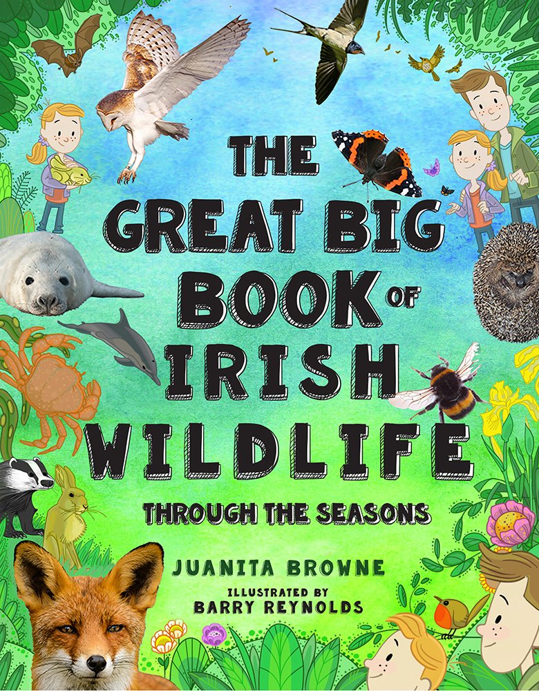 The Great Big Book of Irish Wildlife: Through the Seasons book