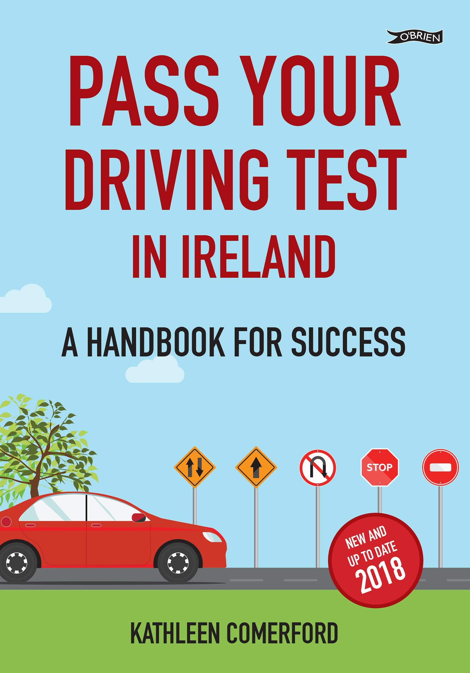 Pass Your Driving Test in Ireland: A Handbook for Success book