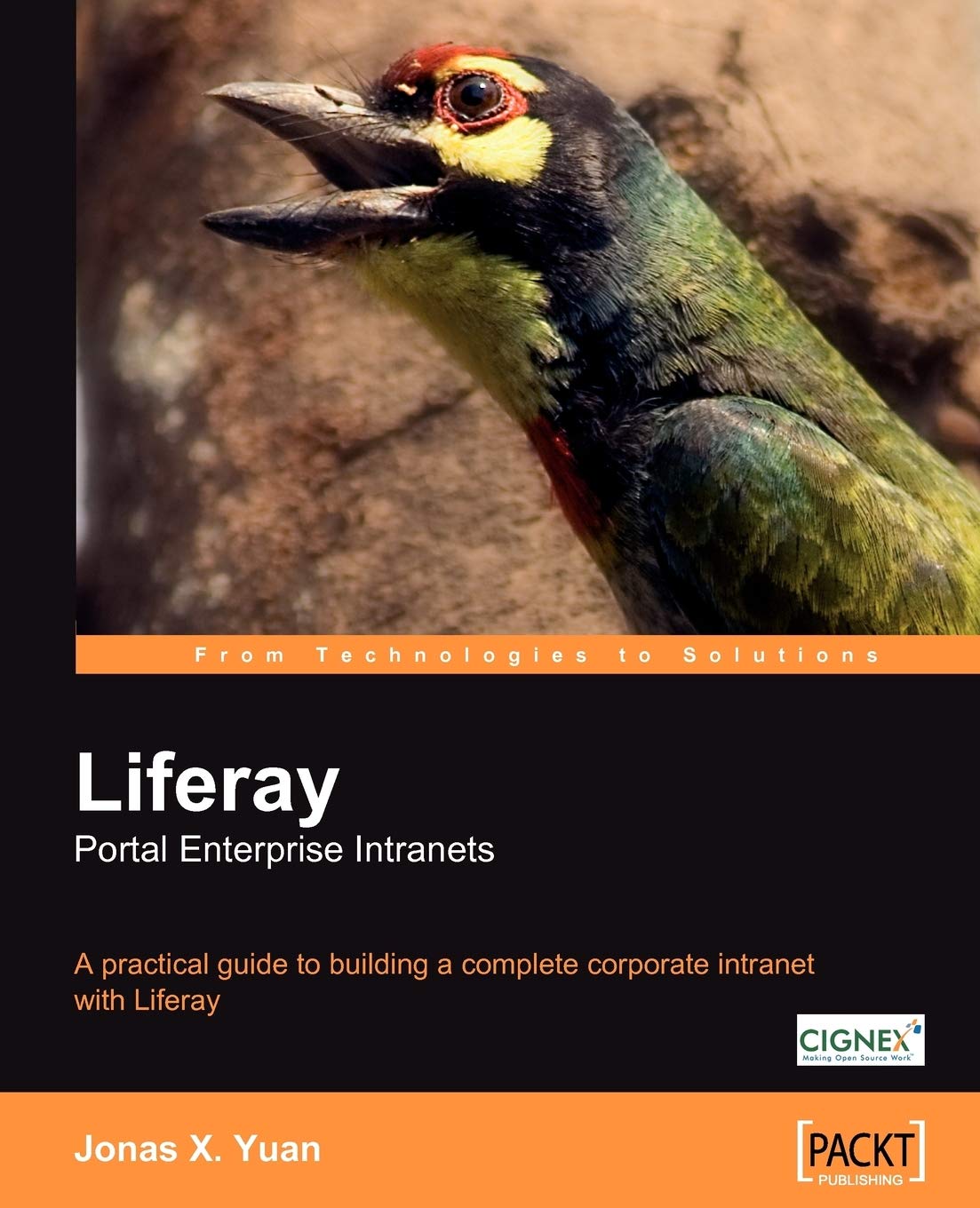 Liferay Portal Enterprise Intranets: A practical guide to building a complete corporate intranet with Liferay (English Edition) Computer Science