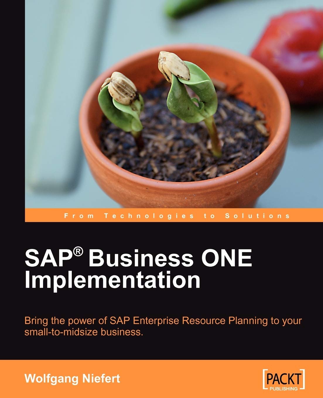 SAP Business ONE Implementation (English Edition): Bring the Power of Sap Enterprise Resource Planning to Your Small-to-midsize Business Computer Science