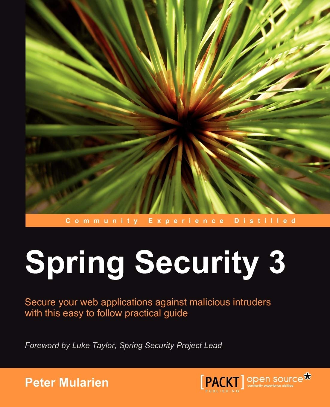 Spring Security 3 Computer Science