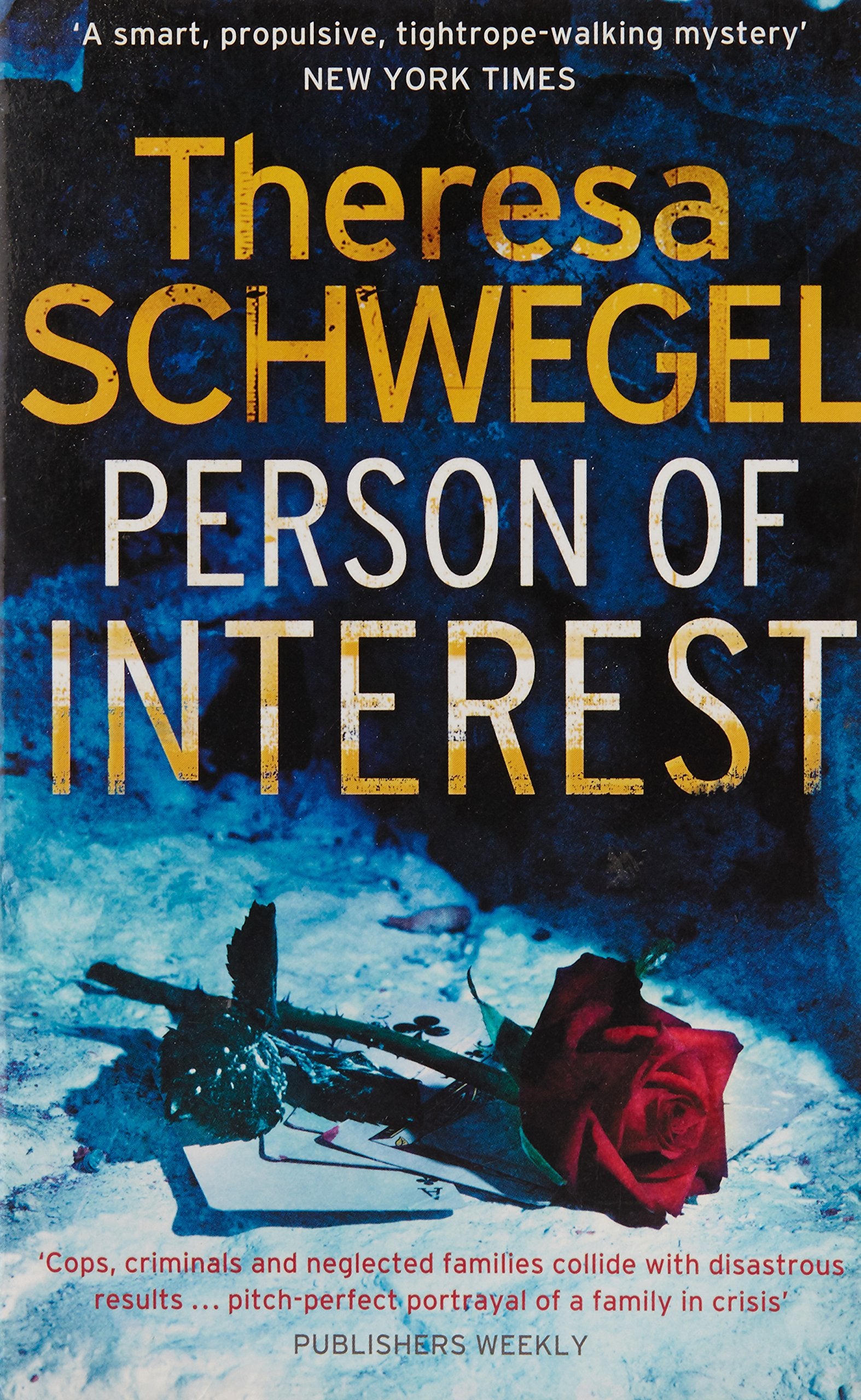 Person of Interest Contemporary literature