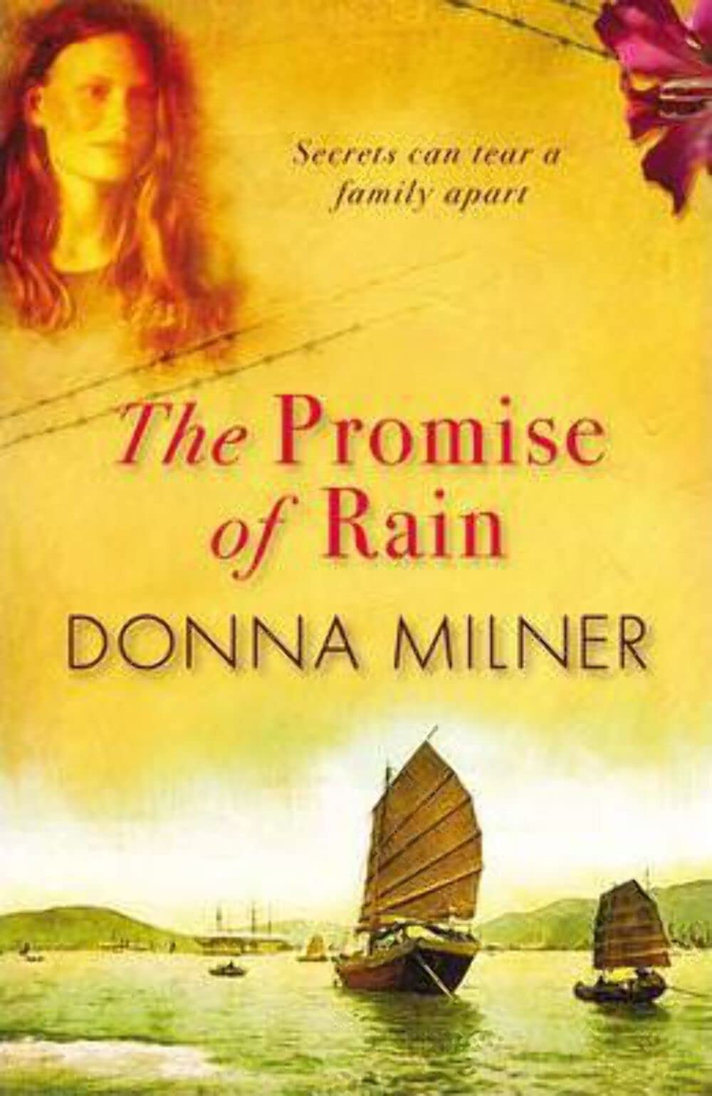 The Promise of the Rain: A prisoner of war returns to his family hiding a secret that could tear them apart Contemporary literature Books