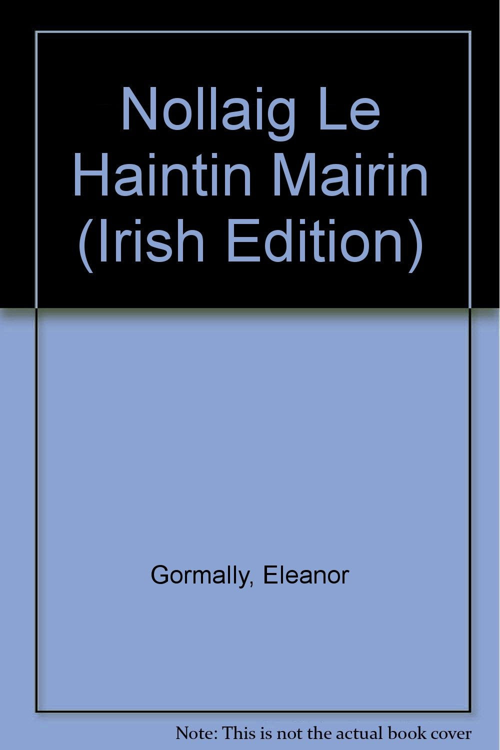 Nollaig Le Haintin Mairin Contemporary literature