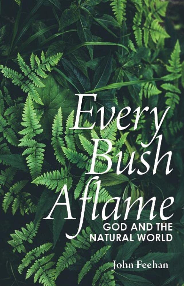 Every Bush Aflame: Science God and the Natural World Mathematics