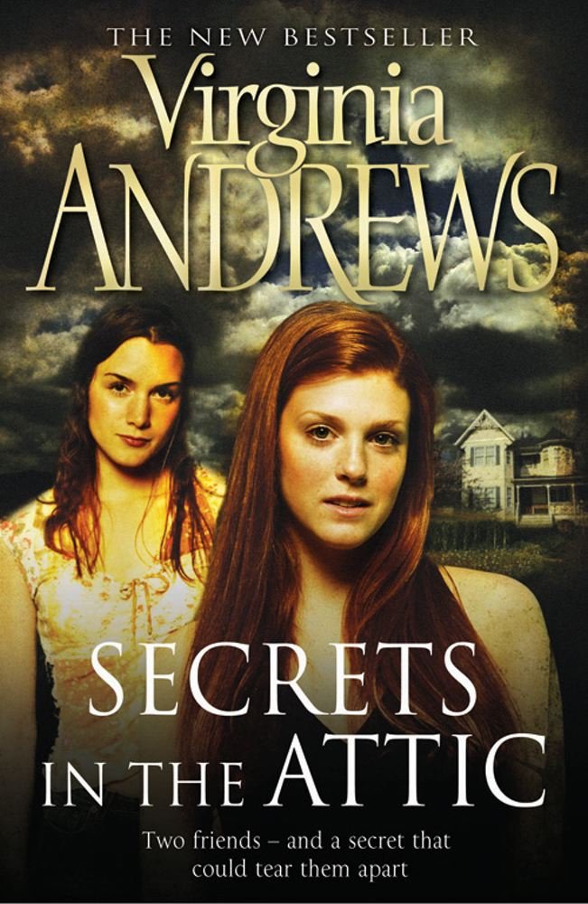 Secrets in the Attic: Two friends - and a secret that could tear them apart Contemporary literature