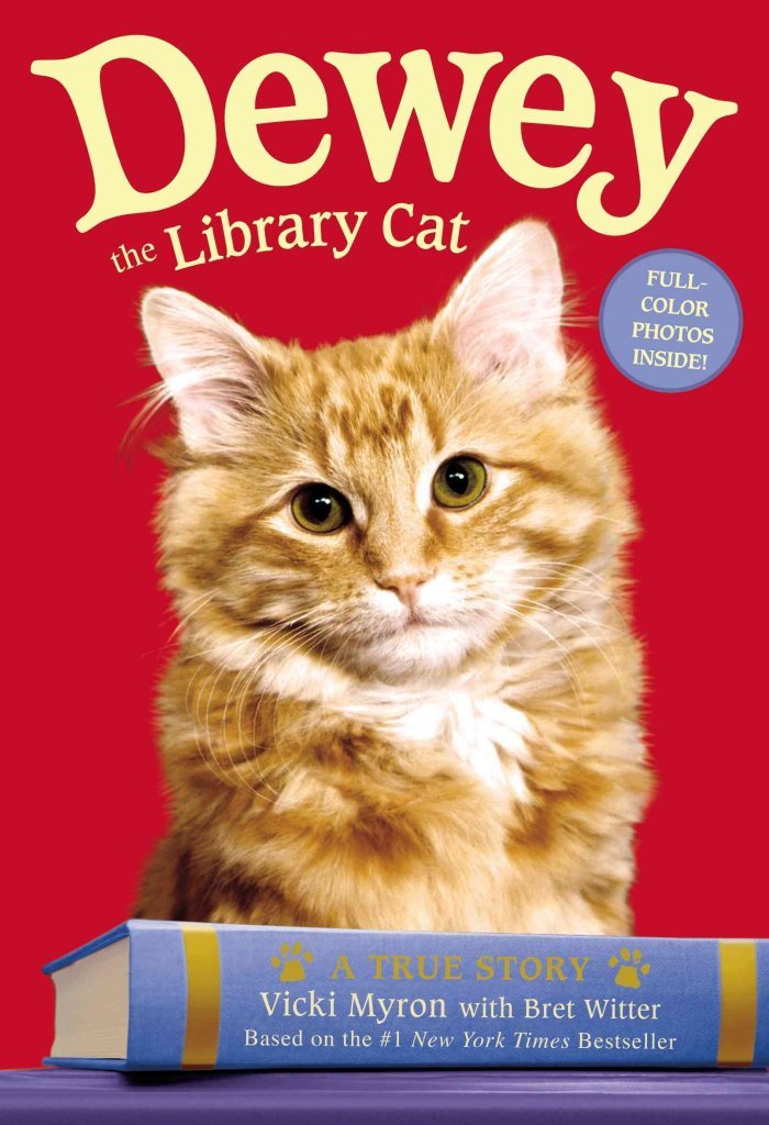 Dewey: The True Story of a World-Famous Library Cat Non-fiction