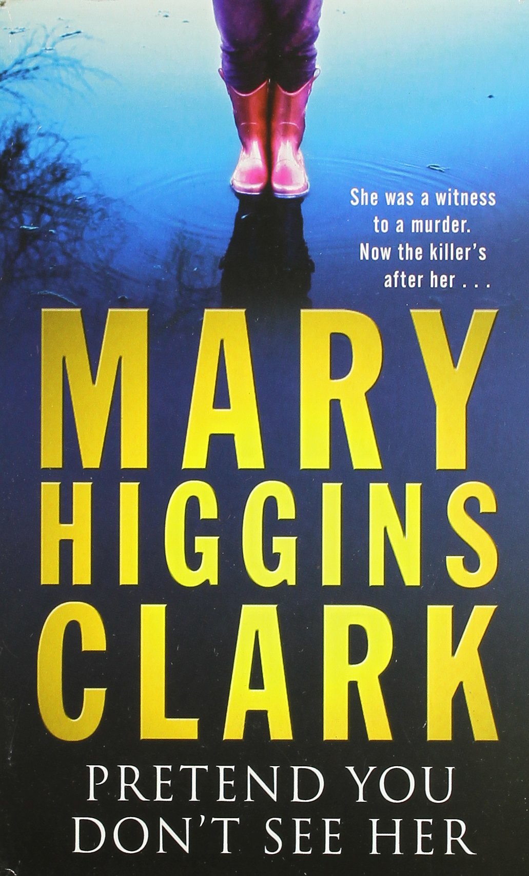 Pretend You Don't See Her Books