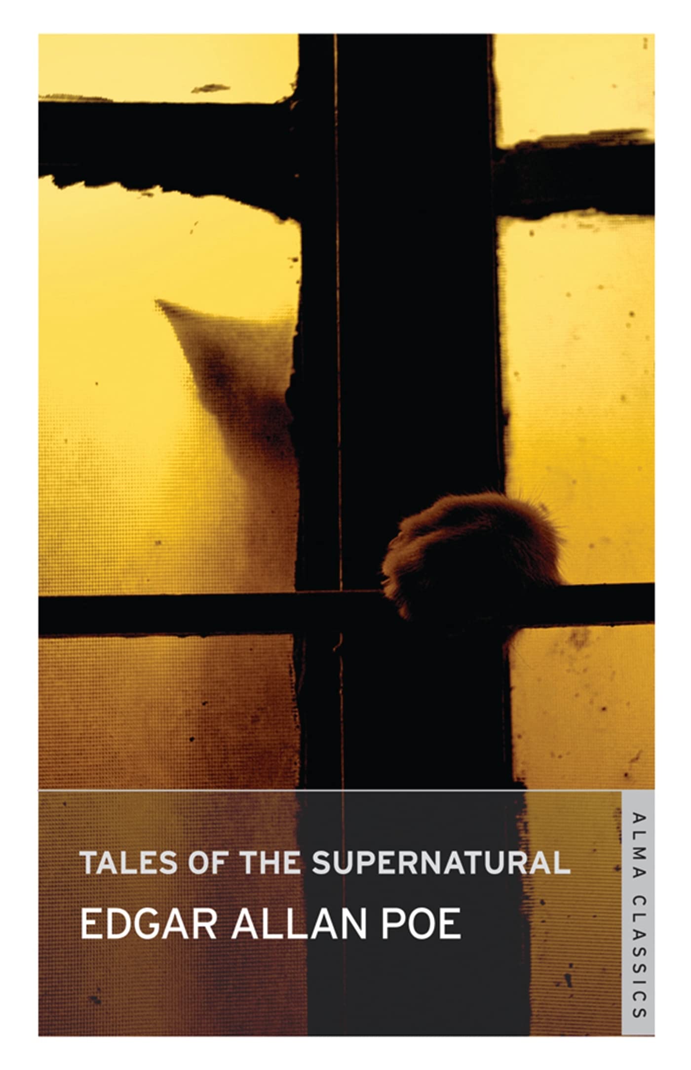 Tales of Mystery and the Supernatural: Annotated Edition Essays & Short Stories