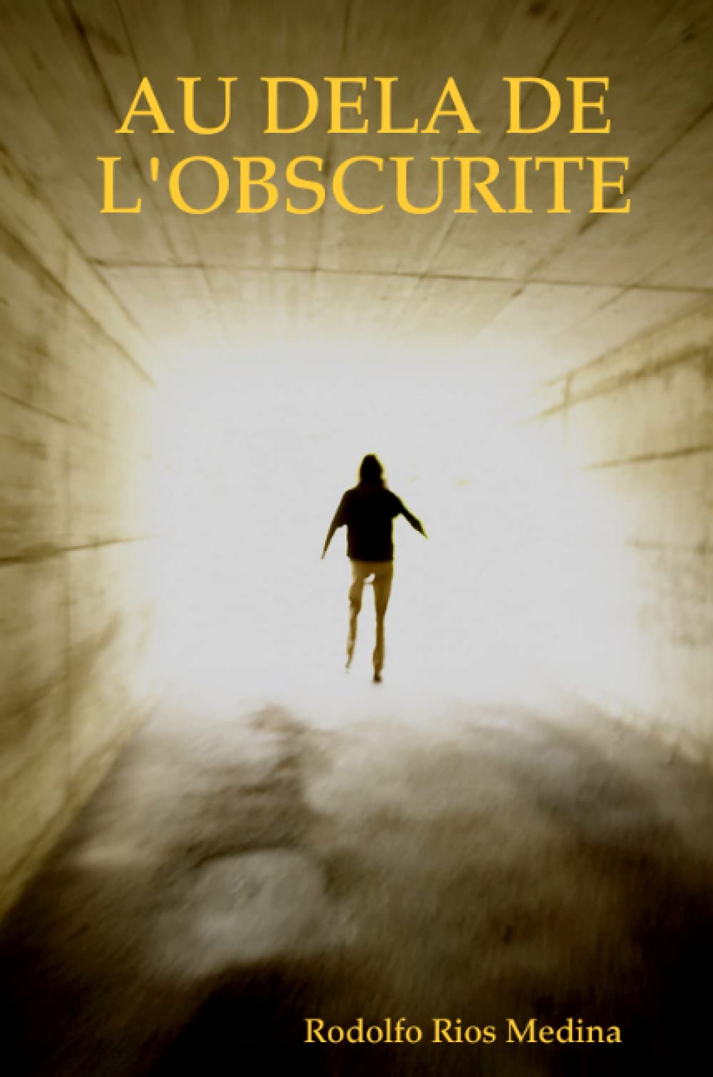 Au-delà de l'obscurité Contemporary literature