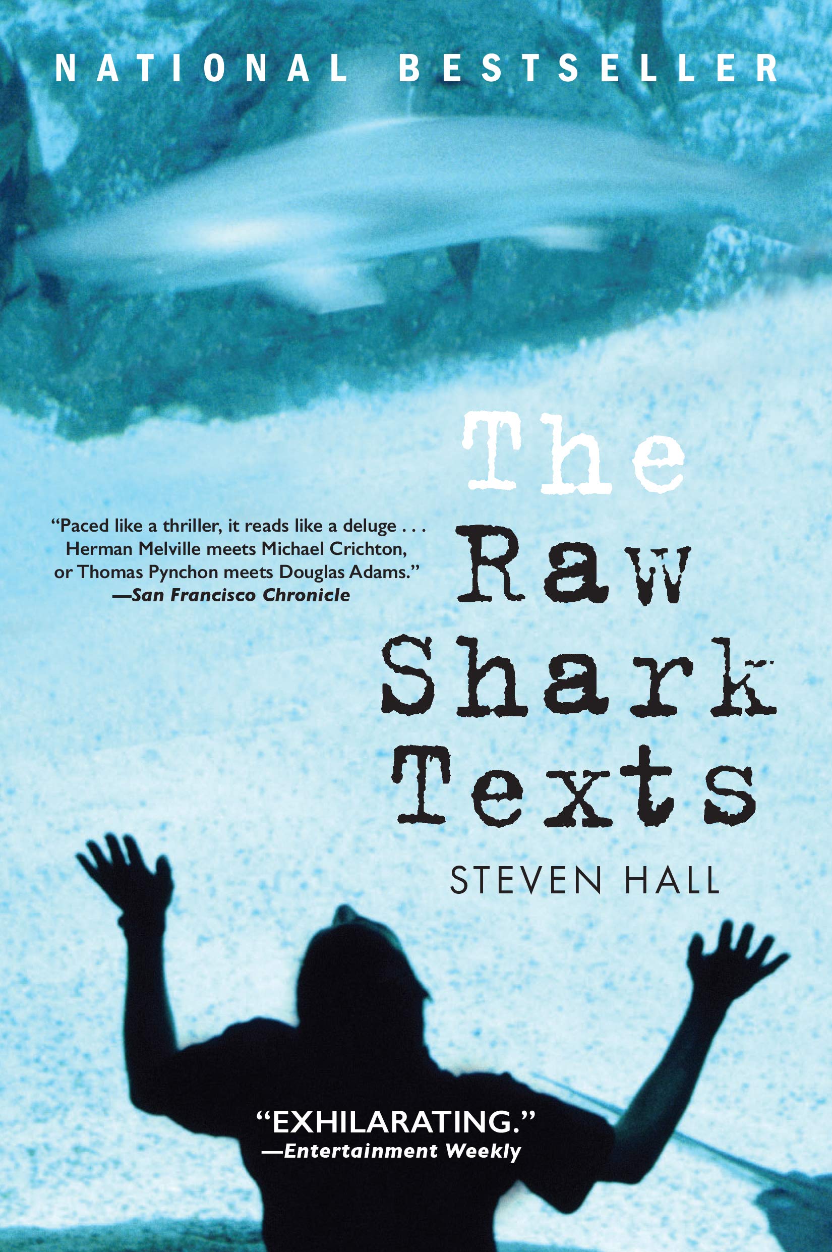 The Raw Shark Texts Contemporary literature Books