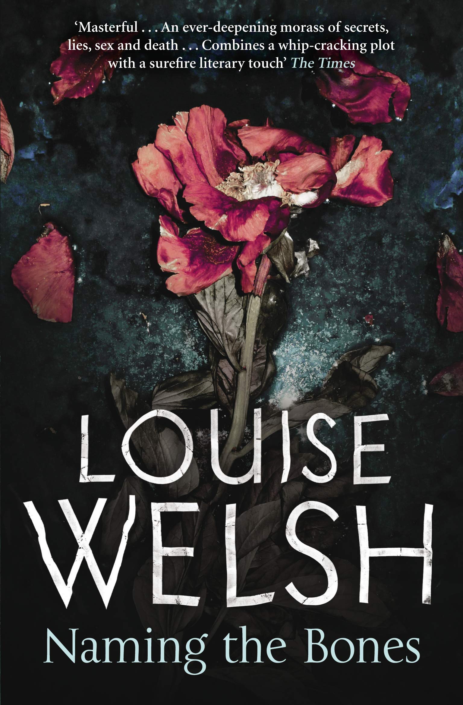 Naming the Bones Contemporary literature Books