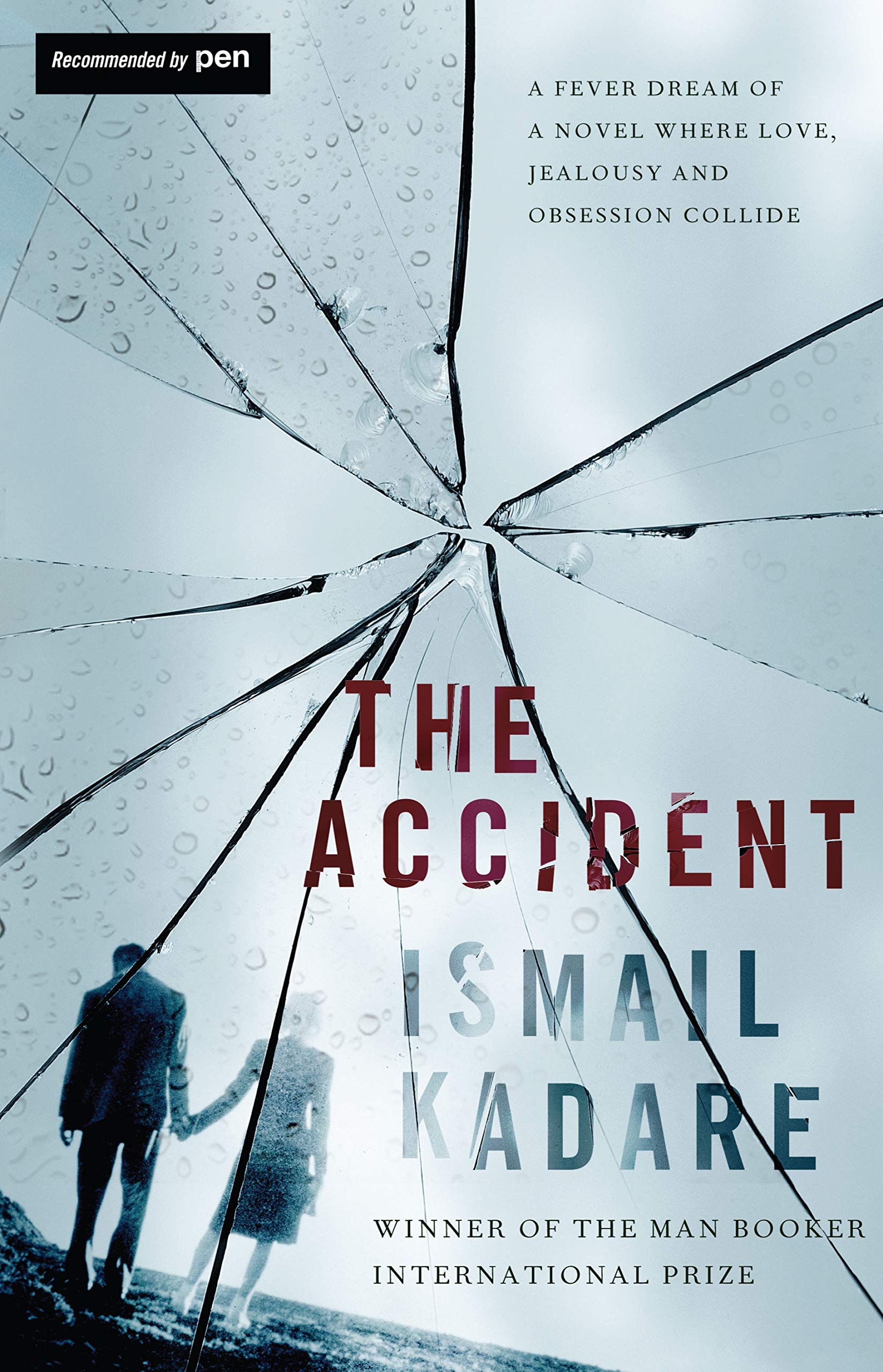 The Accident Contemporary literature Books
