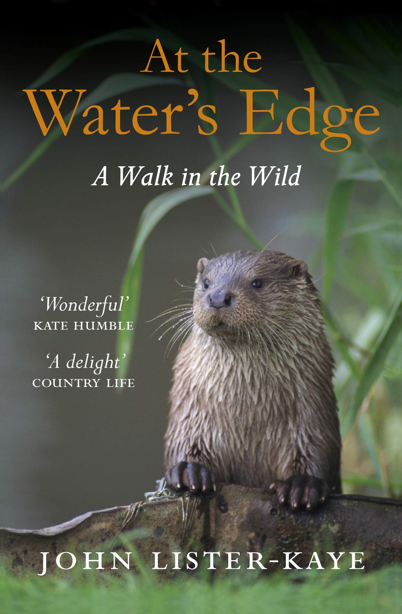 At the Water's Edge Essays & Short Stories