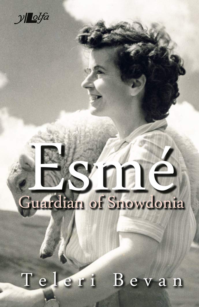 Esme: Guardian of Snowdonia book