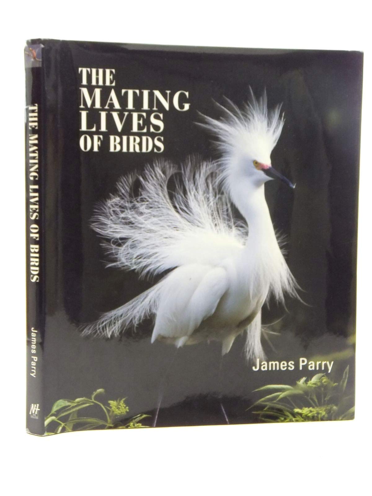 The Mating Lives Of Birds Mathematics