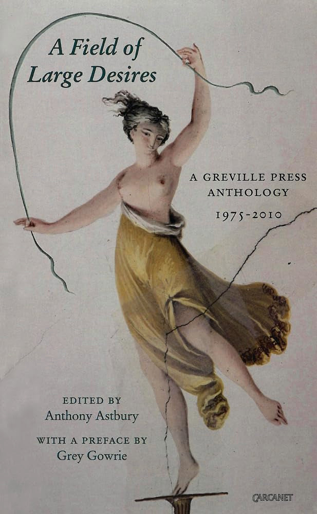 Field of Large Desires: A Greville Press Anthology 1975-2010 Social Sciences