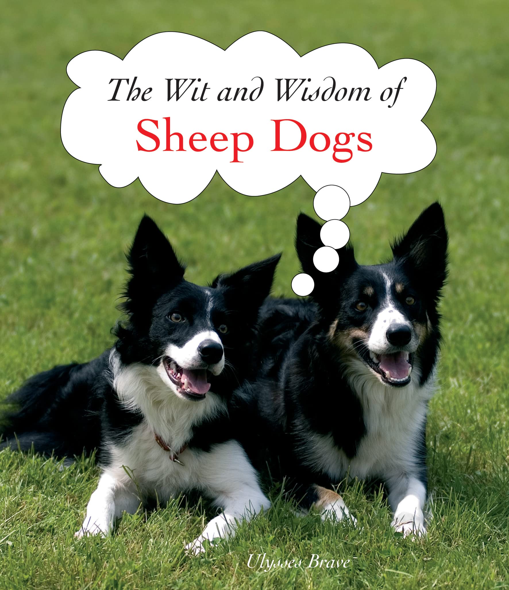The Wit and Wisdom of Sheep Dogs Lifestyle