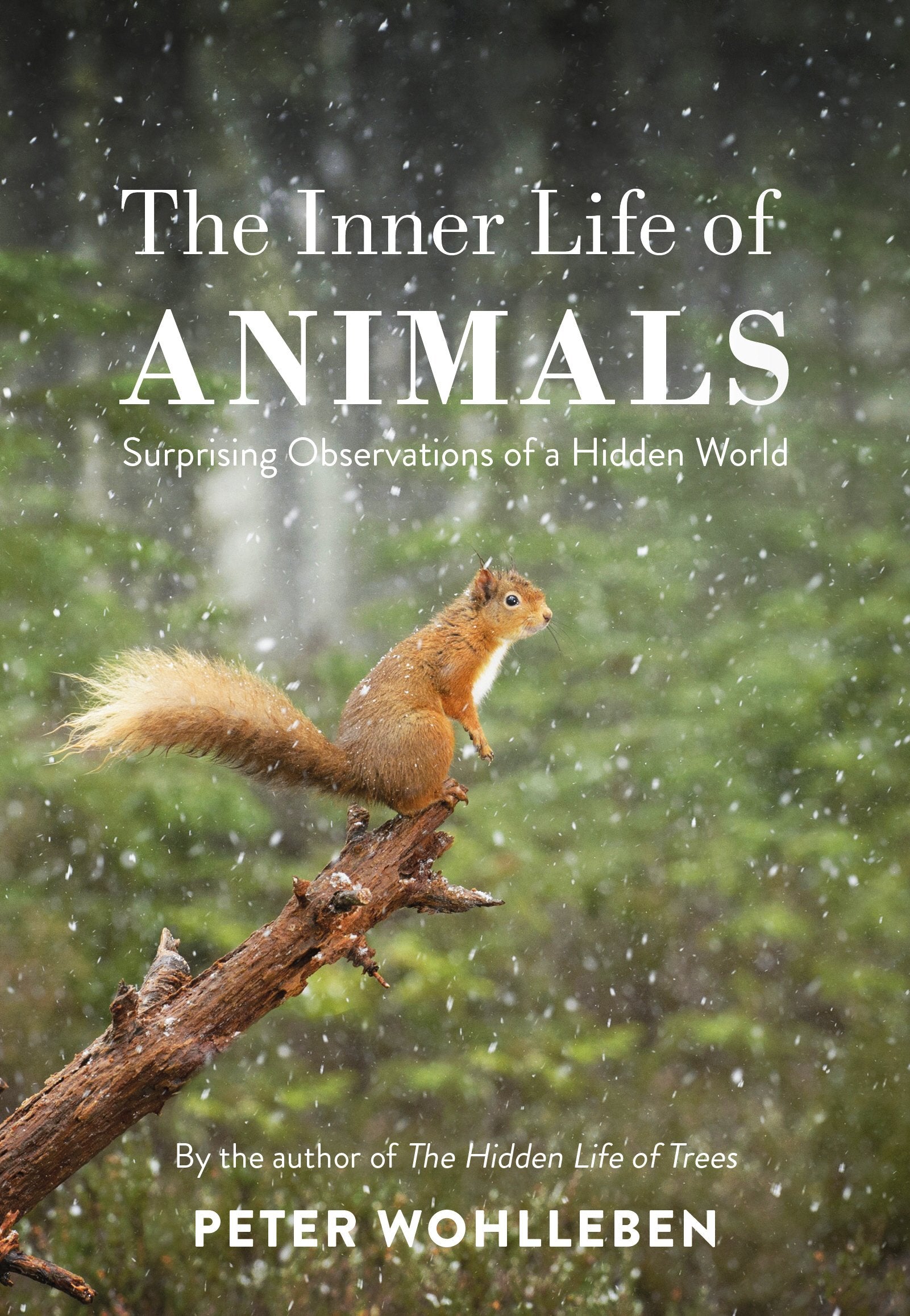 The Inner Life of Animals: Surprising Observations of a Hidden World Books
