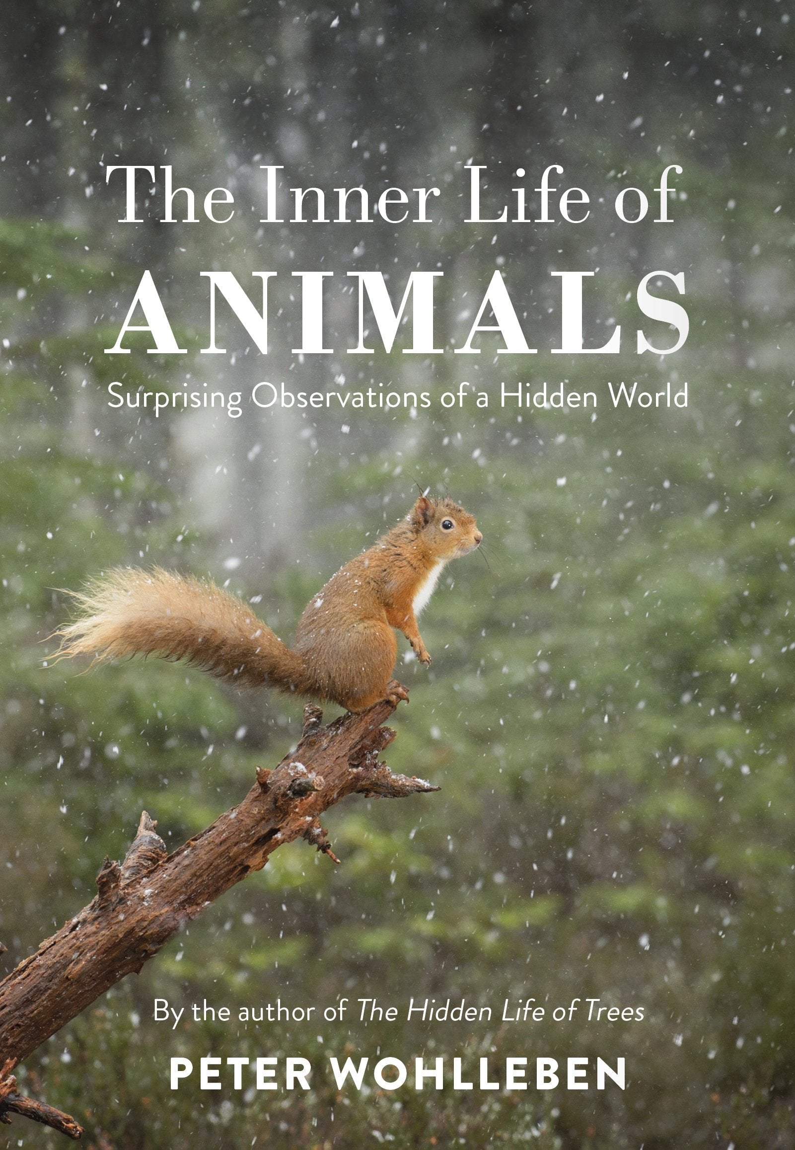The Inner Life of Animals: Surprising Observations of a Hidden World Books