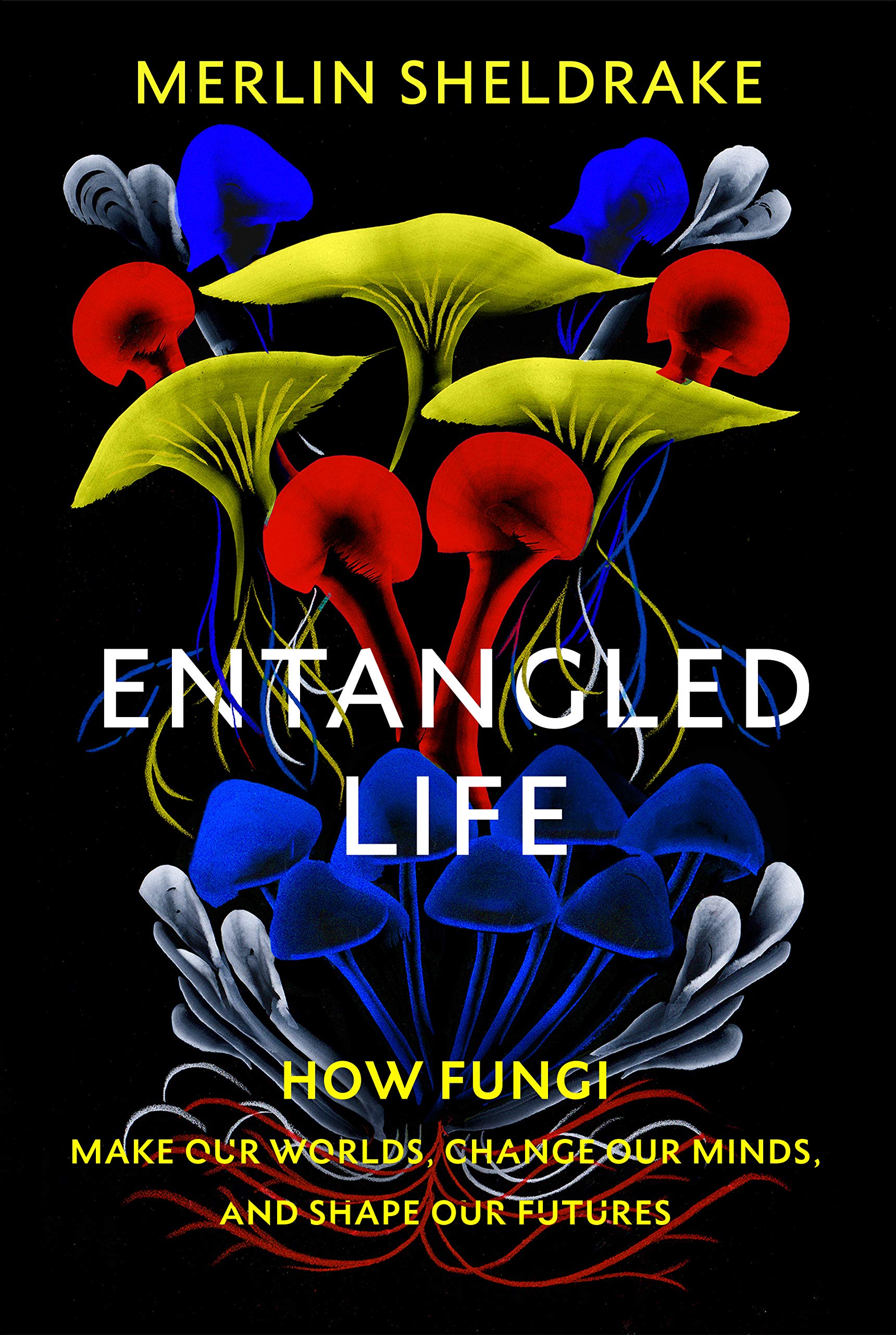 Entangled Life: How Fungi Make Our Worlds, Change Our Minds and Shape Our Futures Mathematics