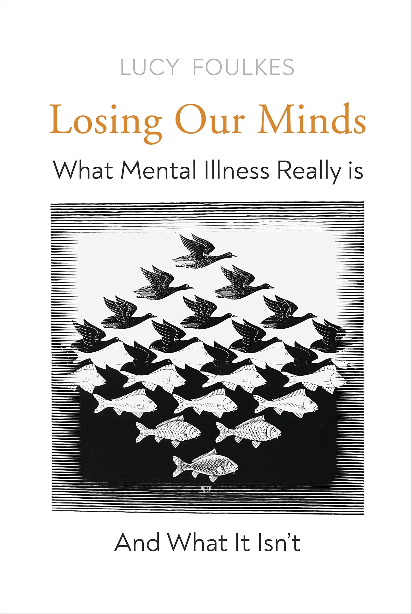 Losing Our Minds: What Mental Illness Really Is – and What It Isn’t Medicine