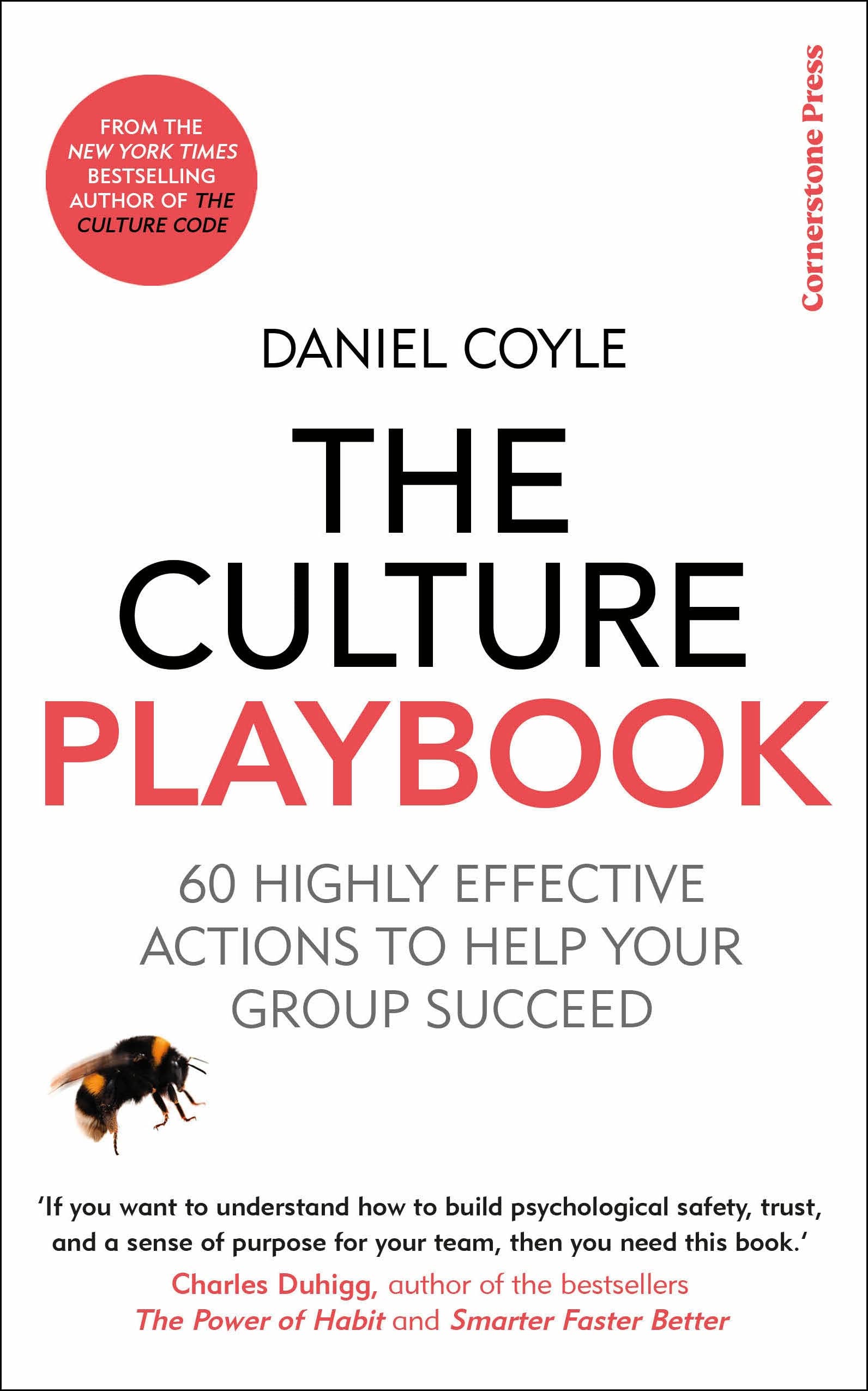 Product Image: The Culture Playbook