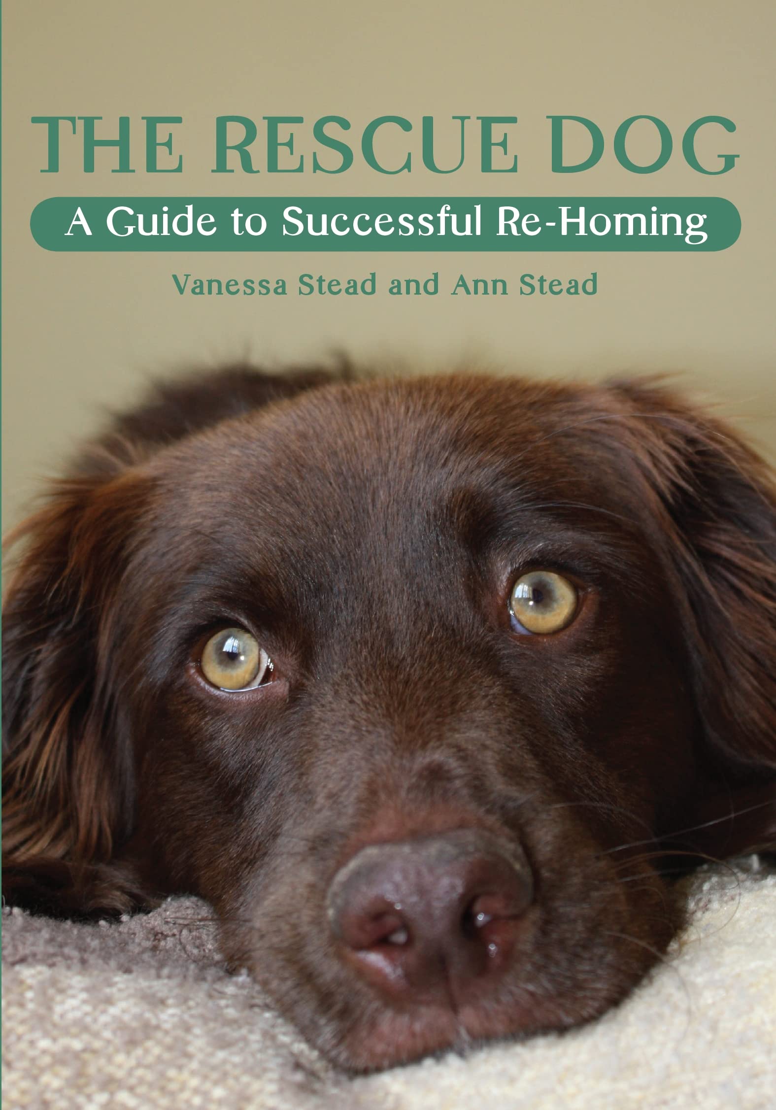 The Rescue Dog: A Guide to Successful Re-Homing Pets