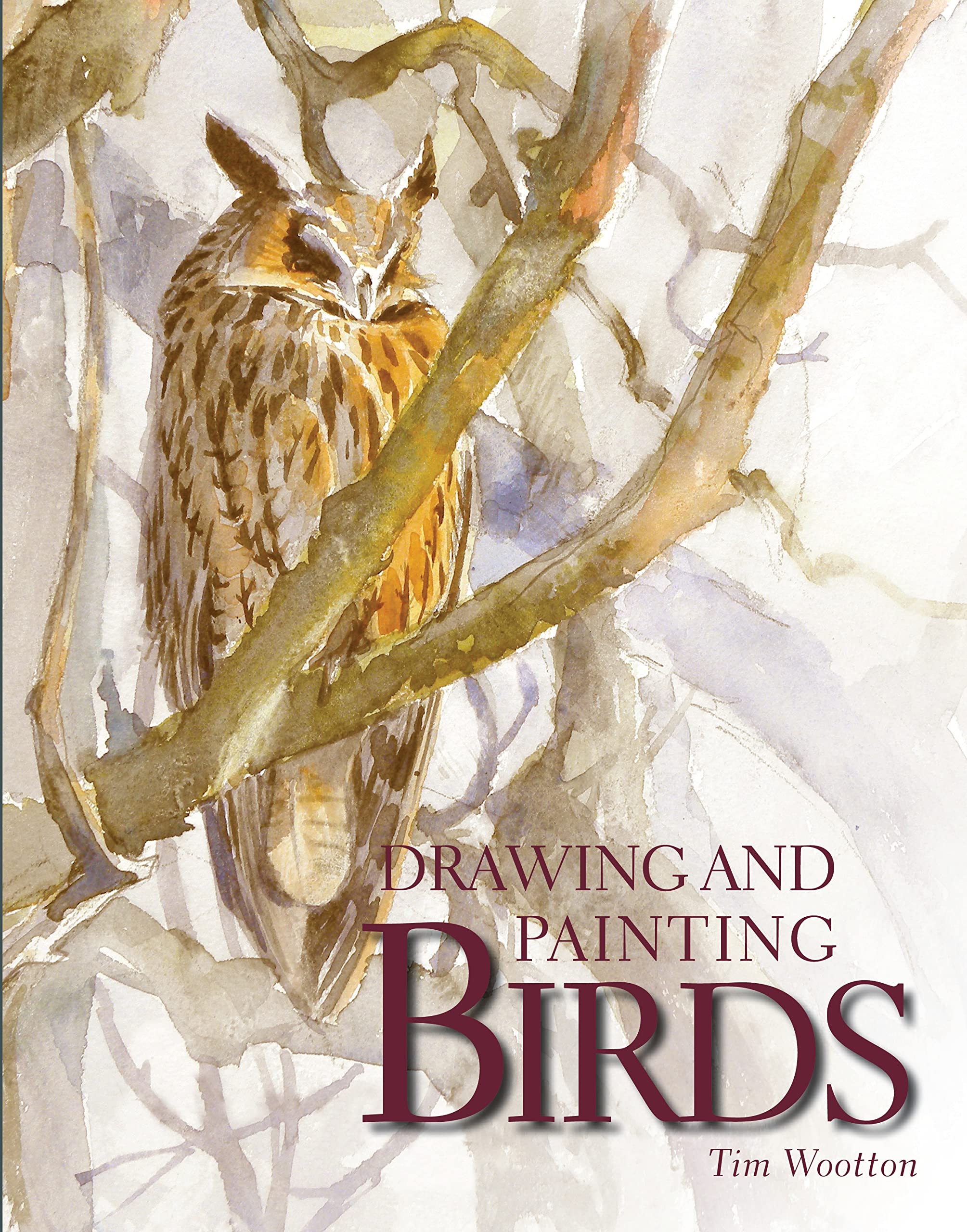 Drawing and Painting Birds Social Sciences