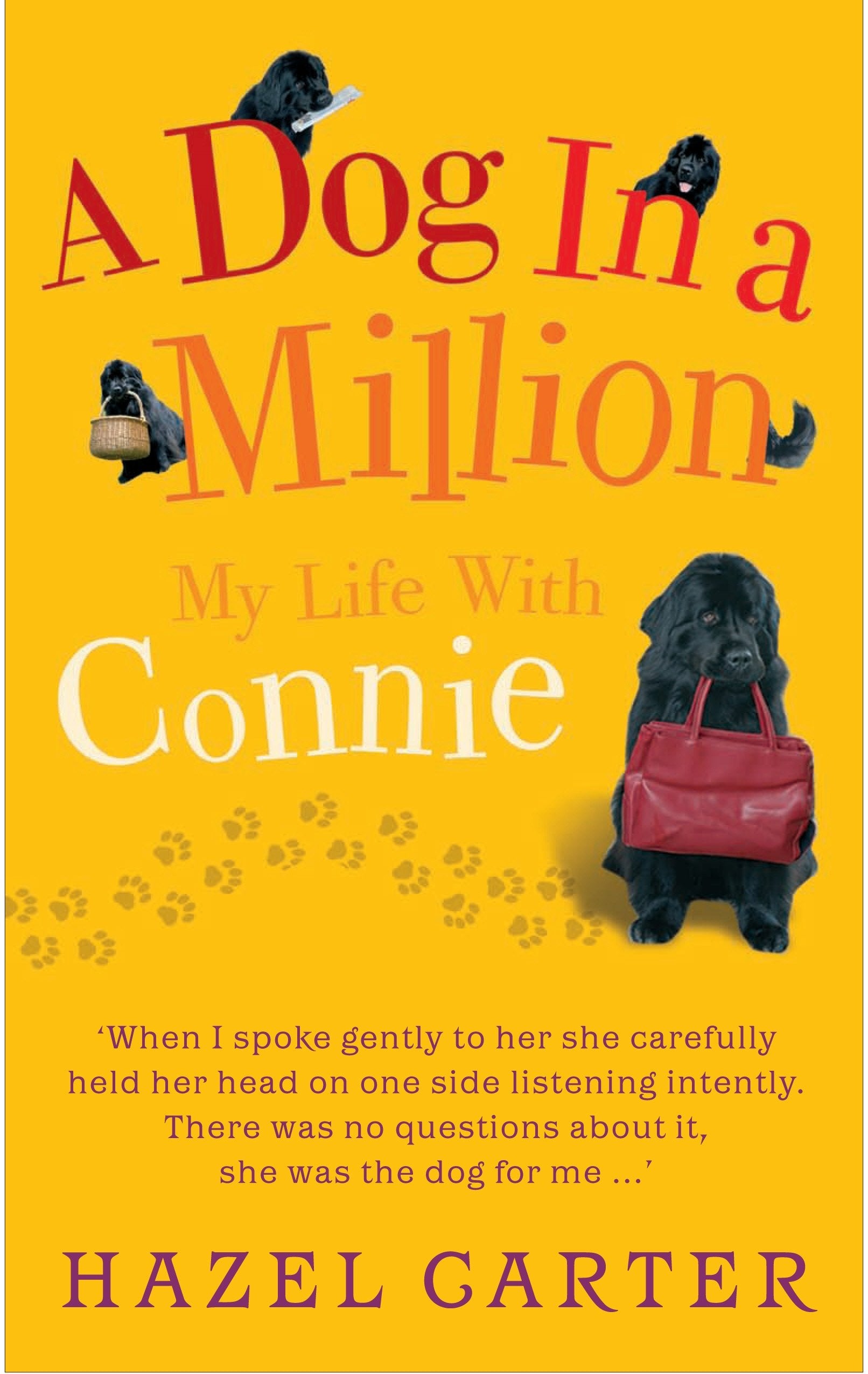 A Dog in a Million: My Life with Connie Art & Literature