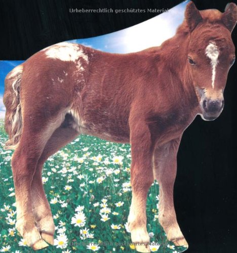 Farm Friends: Foal (Farm Friends Board Books) Tiptoi & Games