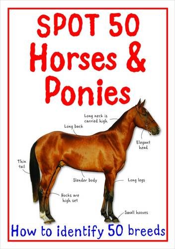 Spot 50 Horses and Ponies (Spot 50's) Tiptoi & Games