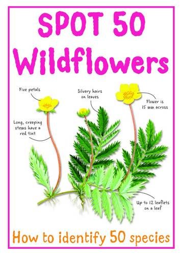 Spot 50 Wildflowers (Spot 50's) Non-fiction