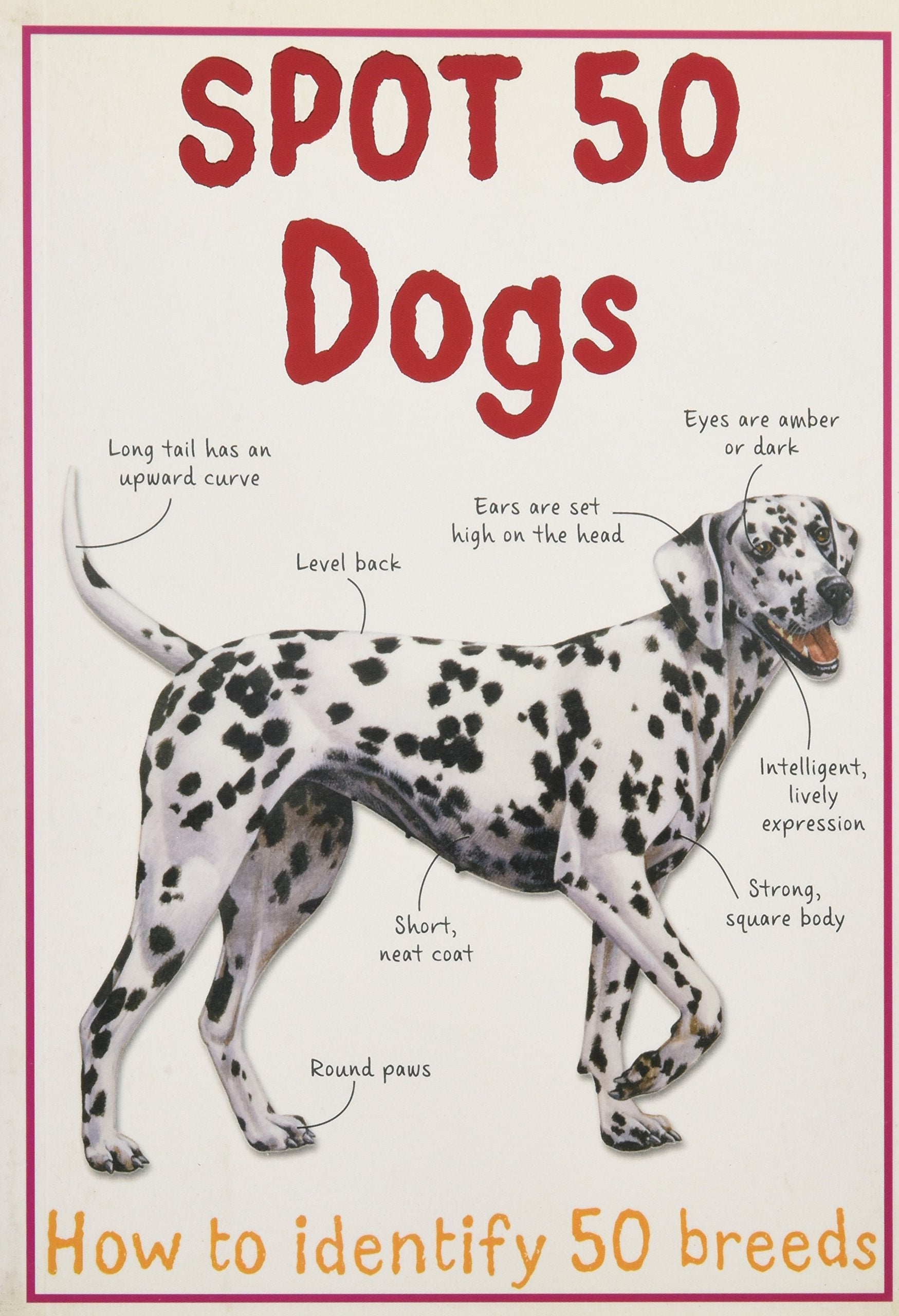Spot 50 Dogs (Spot 50's) Tiptoi & Games