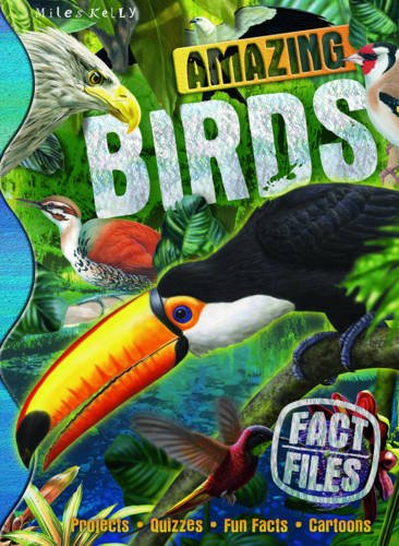 Fact Files Amazing Birds book