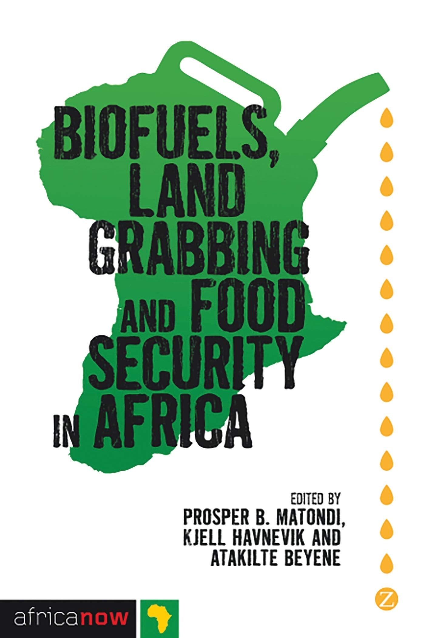 Biofuels, Land Grabbing and Food Security in Africa Law